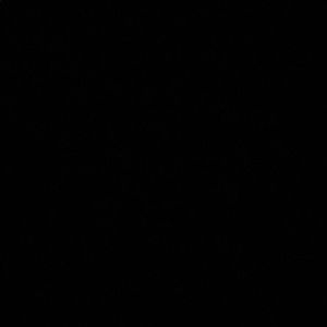 Meet your Posher, Zach